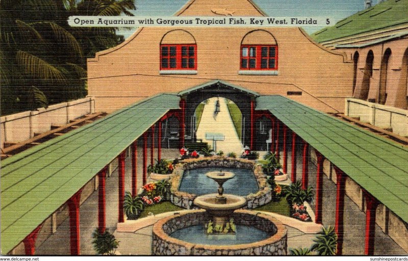 Florida Key West Open Aquarium With Gorgeous Tropical Fish 1956