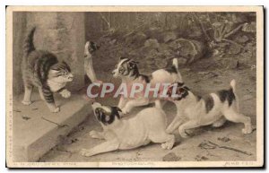 Postcard Cat Old Dogs