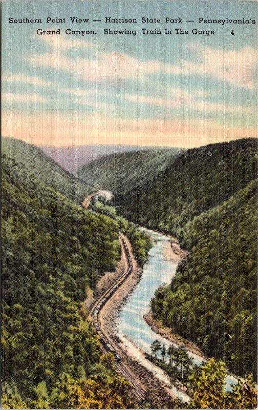 Southern Point View Harrison State Park Pennsylvania PA Grand Canyon Postcard 