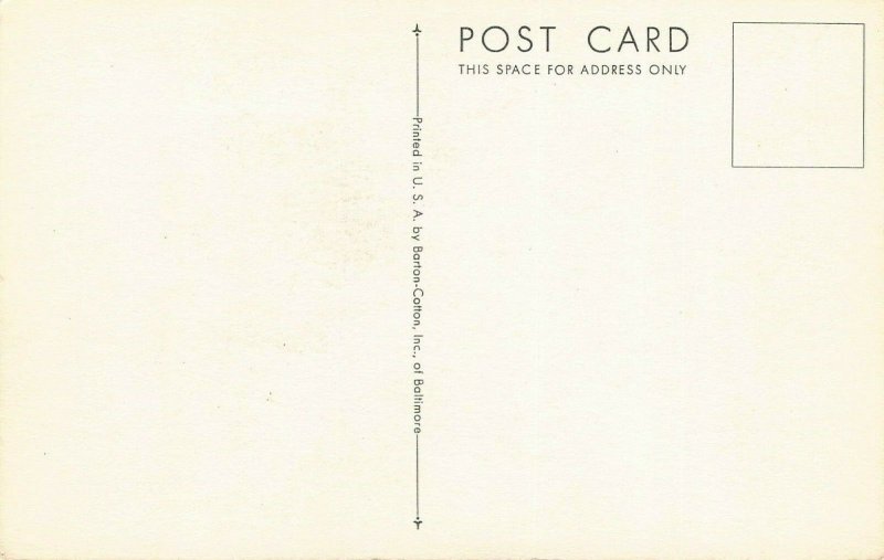 LPS68 MACKEREL FISH Roger Tory Peterson Postcard