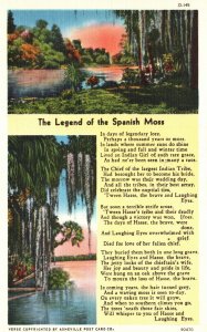 Vintage Postcard The Legend Of Spanish Moss The Asheville Postcard Pub.