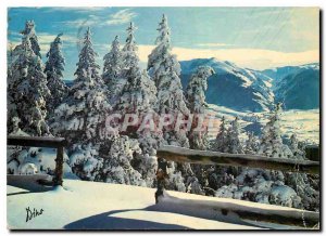 Postcard Modern Light & Colors Pyrenees Winter Morning