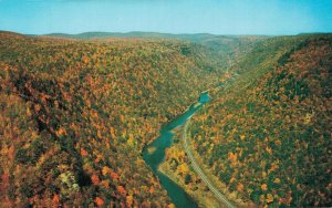 USA Aerial View of Pennsylvania's Grand Canyon Wellsboro Vintage Postcard 07.45