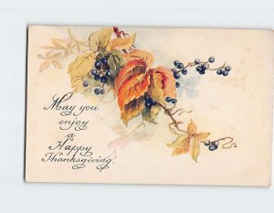 Postcard May you enjoy a Happy Thanksgiving with Berries Leaves Art Print