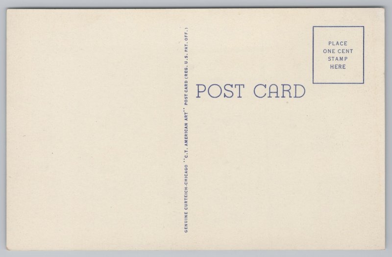 Linen~CM Bardwell School & Auditorium~IL~Partial Front Entry~CT American~Vtg PC