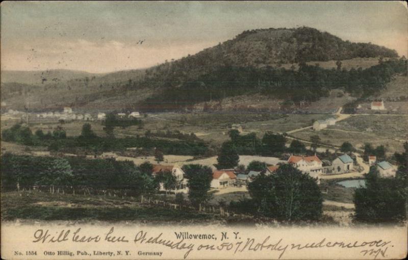 Willowemoc NY General View c1910 Postcard