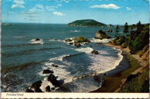 California Trinidad Head From US 101 1973