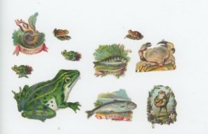 1880's Frogs Nauticus Perch Lot Of 10 Victorian Die Cut Trade Card F58E