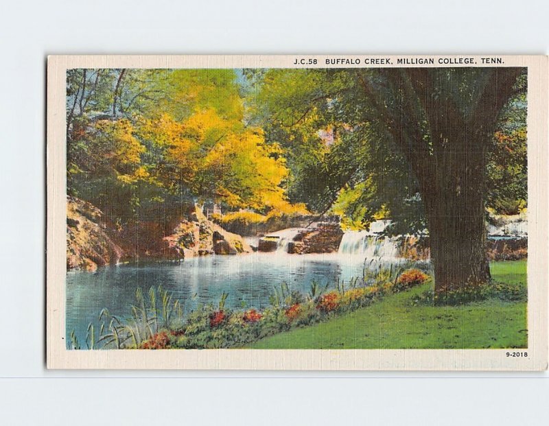 Postcard Buffalo Creek, Milligan College, Tennessee