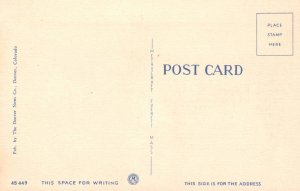 Donkeys in the Rockies