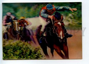 493256 advertising company Prodintorg for a horse auction Moscow lenticular 3D