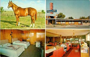 Vernal UT Utah DIAMOND HILLS MOTEL~CHINESE CAFE Horse Holy Sox ROADSIDE Postcard