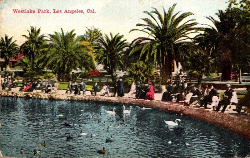 California Los Angeles Feedings Swans and Ducks In Westlake Park 1909