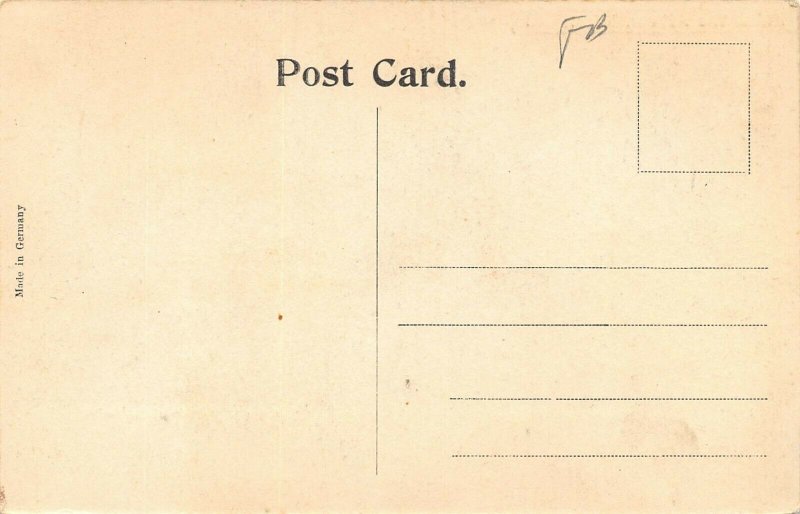 LPS71 NILES Ohio Hotel The Allison Hand Colored Postcard