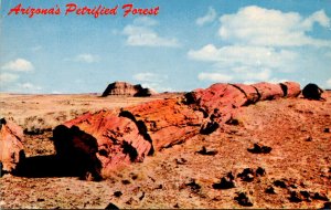 Arizona Petrified Forest National Monument Petrified Log 1974