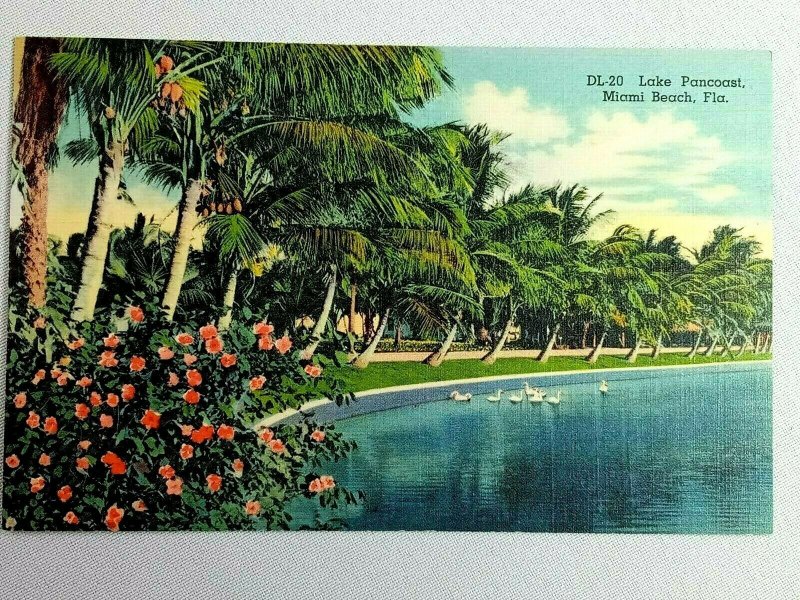 Vintage Postcard DL 20 Lake Pancoast Palm Trees Miami Beach FL Florida 