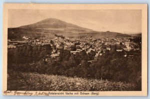 Bern Switzerland Postcard Panoramic View of Vacha with Öchsen (mountain) 1925