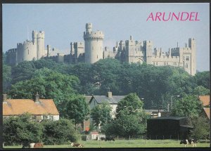 Sussex Postcard - Arundel Castle     LC3364