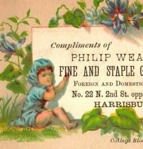 1880s-90s Philip Weaver Fine & Staple Groceries Cherubs Lot Of 4 P98