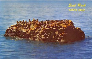 Santa Cruz, California SEAL ROCK West Cliff Drive c1950s Chrome Vintage Postcard