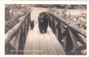 Postcard RPPC Kicking Horse Canyon Tea Room Canada