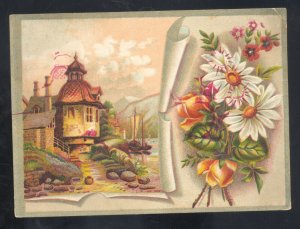 TOLEDO OHIO WOOLSON SPICE COMPANY LION COFFEE DAISIES VICTORIAN TRADE CARD