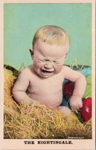 The Nightingale Baby Crying Child Boy Nest Bamforth Unused Postcard H40