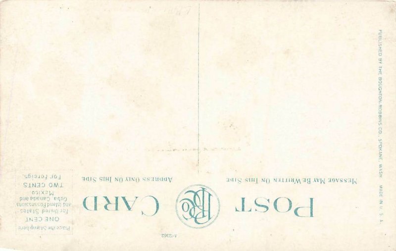 Lumberjack On Washington Log Raft Timber c1910 P164 