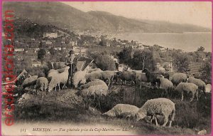 ak1749 - France - VINTAGE POSTCARD - Menton - 1908