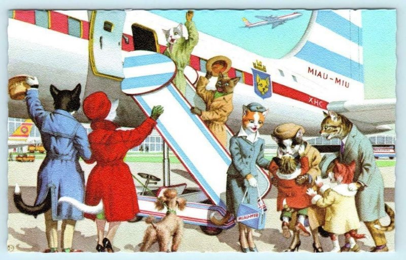 Mainzer Dressed Cats AIRPORT AIRPLANE STEWARDESS Kittens #4934 Belgium Postcard