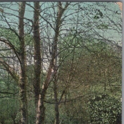 Northumberland Postcard - Jesmond Dene Stepping Stones, Newcastle RS39518