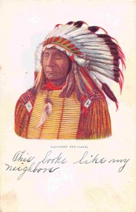 Chief Red Cloud Native American Indian 1905c postcard