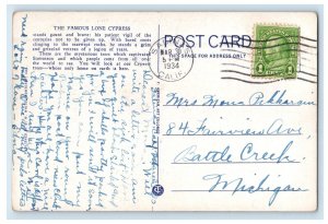 1934 Old Veteran Cypress Point Lobos Carmel Bay California CA Vintage Postcard