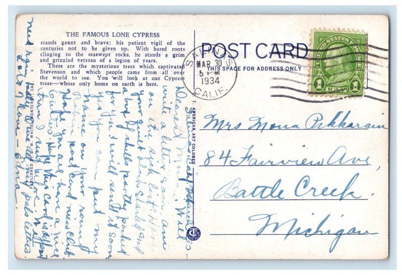 1934 Old Veteran Cypress Point Lobos Carmel Bay California CA Vintage Postcard