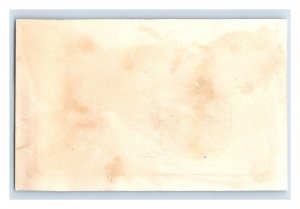 1880s New & Todd Florida State Seal P112