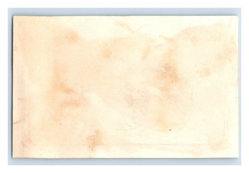 1880s New & Todd Florida State Seal P112