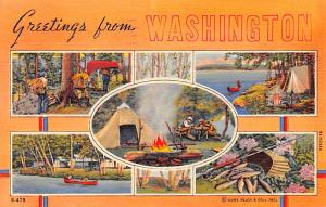 Greetings from Washington, USA Unused light postal marking on front