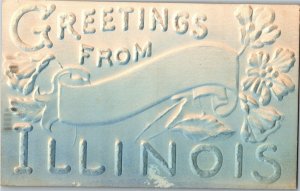 Embossed, Greeteings from Illinois IL c1910 Vintage Postcard C42