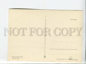 3179502 Siam Cat old photo postcard