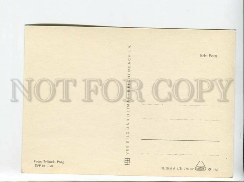 3179502 Siam Cat old photo postcard