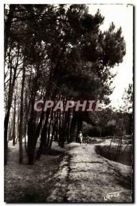 Bretignoles sur Mer - La Foret des Dunes Postcard Old