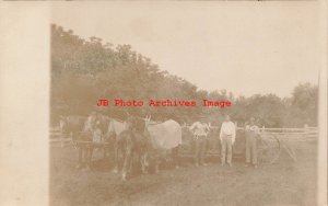 Unknown Location, RPPC, Farmers with Horses & Wagon of Hay