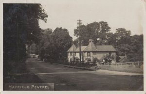 Hatfield Peverel Essex 1928 Antique Real Photo Postcard