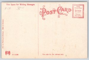 Fergus Falls Minnesota~US Government Building & Post Office~c1910 Postcard