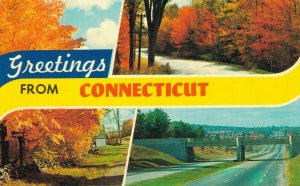 USA Greetings From Connecticut Vintage Postcard 07.46