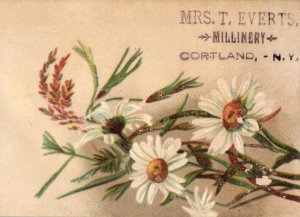 1870's-80's Mrs T. Everts Cortland NY Millinery Store Victorian Trade Card F109