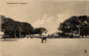 PC CPA SINGAPORE, CONNAUGHT DRIVE, VINTAGE POSTCARD (b4332)