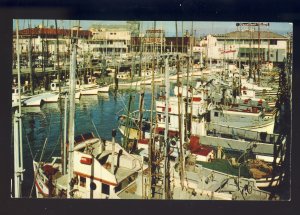 San Francisco, California/CA Postcard, Fishing Fleet In Harbor, Waterfront