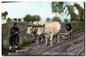 Old Postcard Folklore Vichy Oxen Plowing around