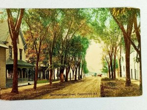 Vintage Postcard Westmoreland Street Dirt Road Lined with Trees Fredericton NB